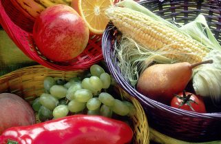 Vegetarian Nutrition Resources
